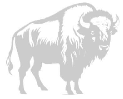 A grayscale silhouette of a bison, depicted in profile, set against a minimalistic background of faint mountain outlines.